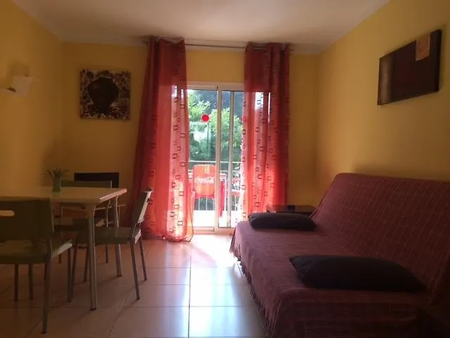 Rex * Salou
