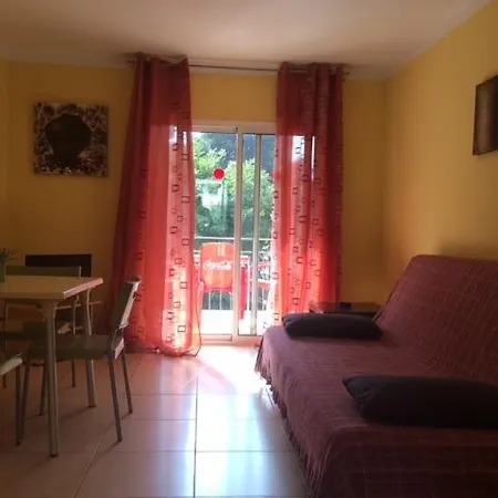 Rex * Salou